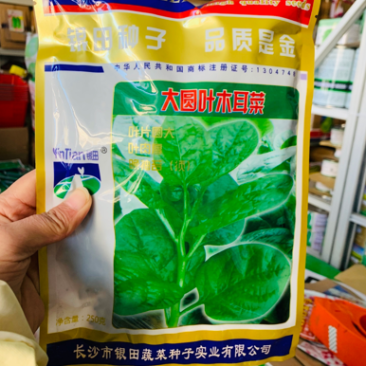 银田大叶木耳菜种子耐热耐湿四季蔬菜种子茎叶肥嫩基地专用