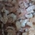 无盐原干纯净海米
