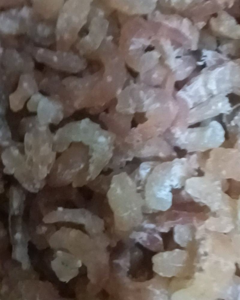 无盐原干纯净海米