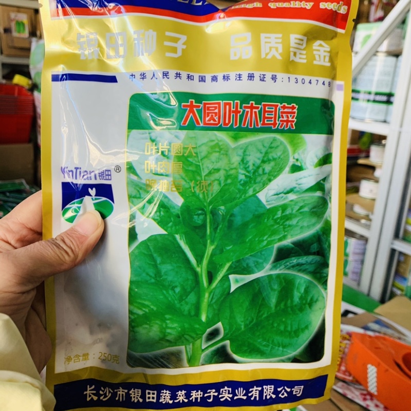 银田大叶木耳菜种子耐热耐湿四季蔬菜种子茎叶肥嫩基地专用