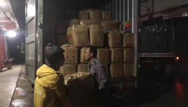 信宜优质大肉姜产地直销质量保证一手货源