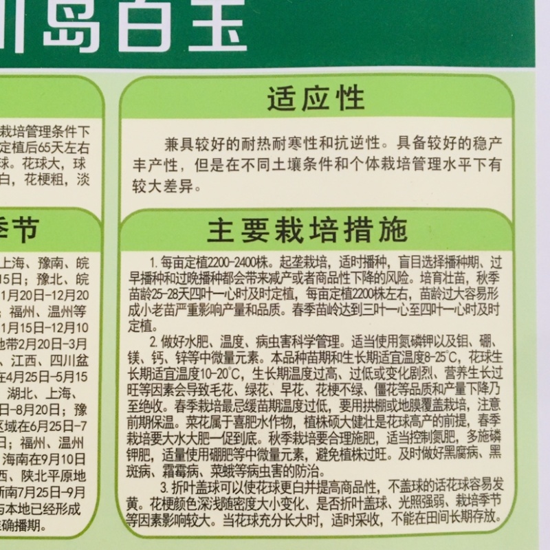川岛白玉青梗松花菜种子白花菜春秋两用花菜种子米粒细花球大