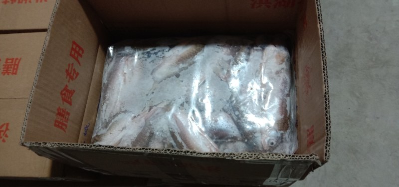 洪湖天然水域水产品，湖之味三去鲫鱼，大，中，小规格齐全