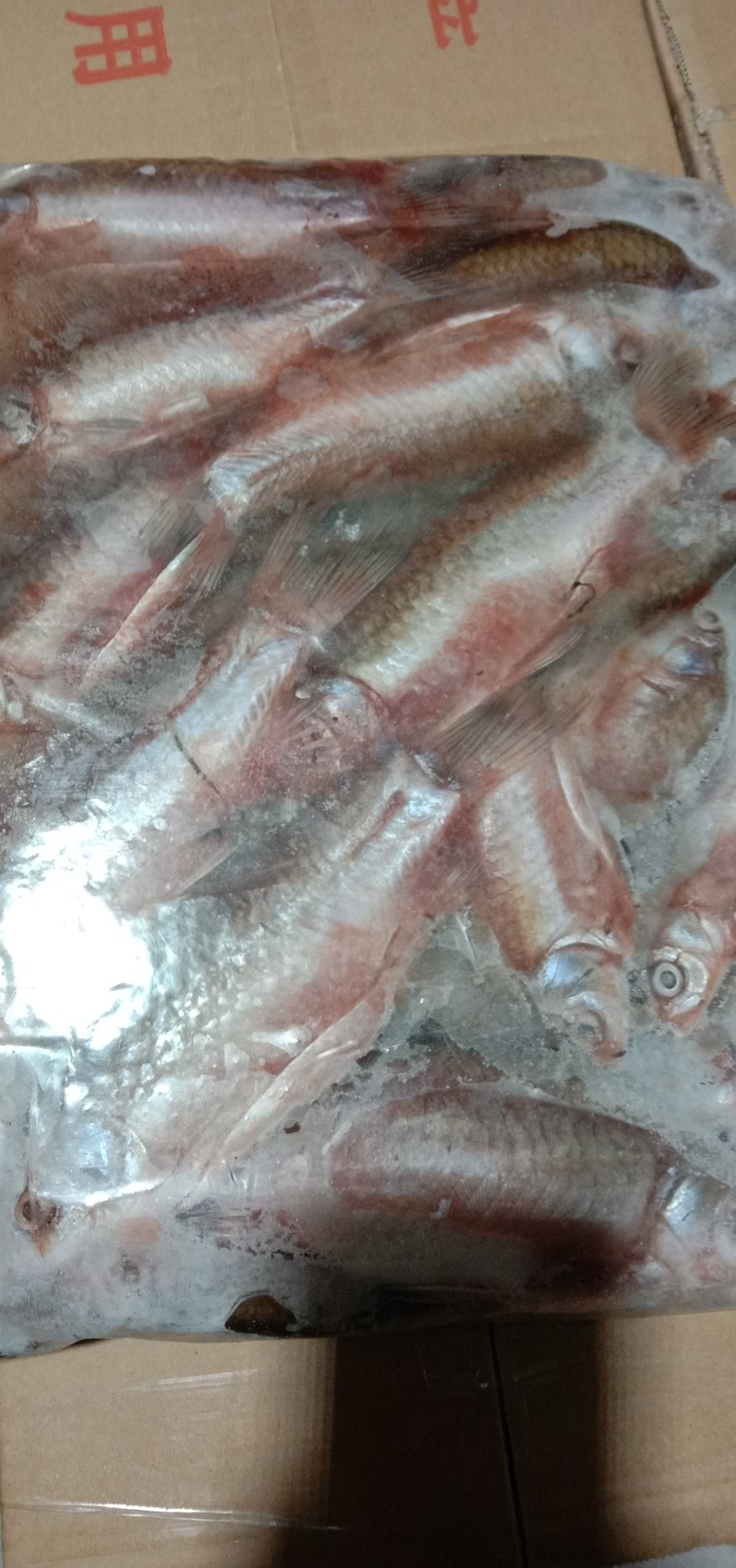 洪湖天然水域水产品，湖之味三去鲫鱼，大，中，小规格齐全