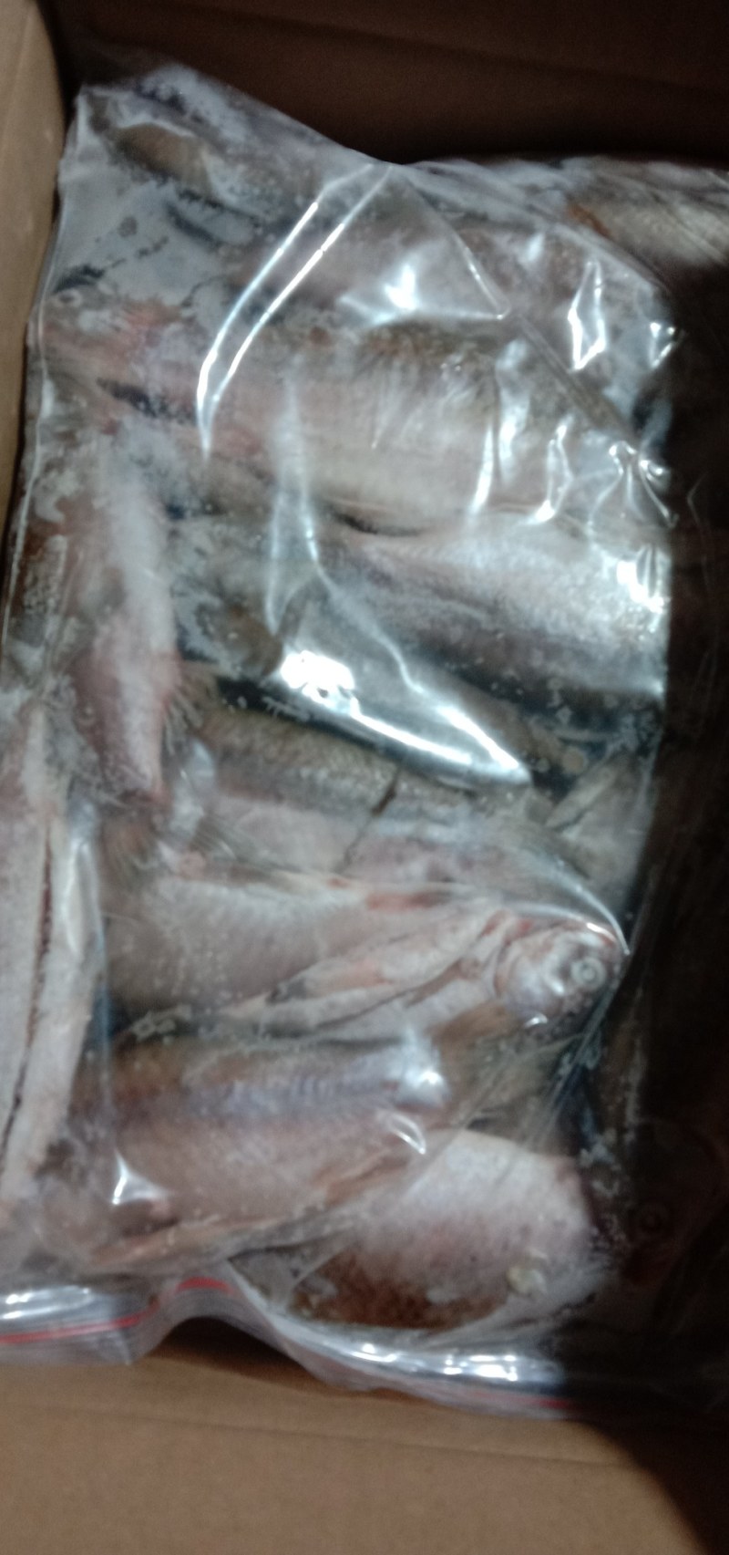 洪湖天然水域水产品，湖之味三去鲫鱼，大，中，小规格齐全