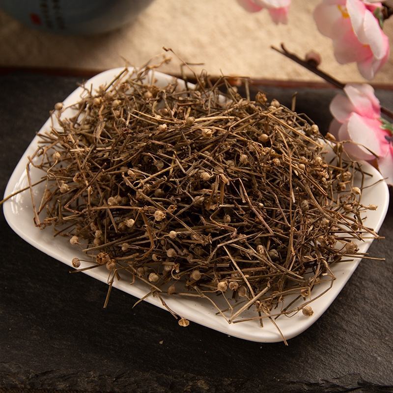 江西野生百花蛇舌草草药白花蛇舌草中药材蛇舌草