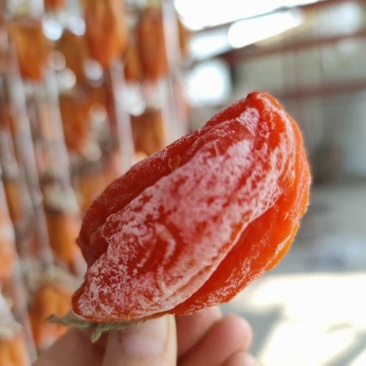陕西富平柿饼一手货源