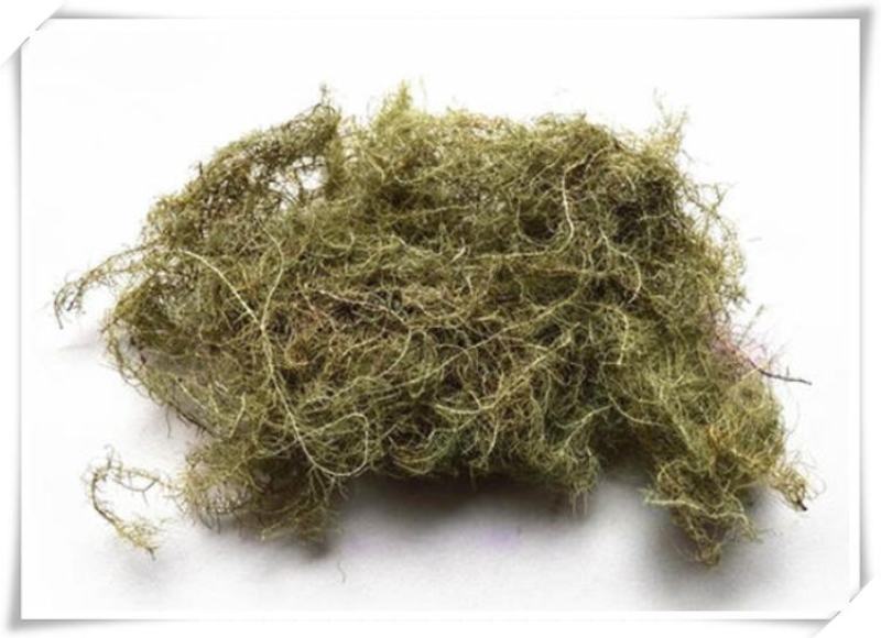 山间谷草云雾草长松萝老君须天蓬草海风藤