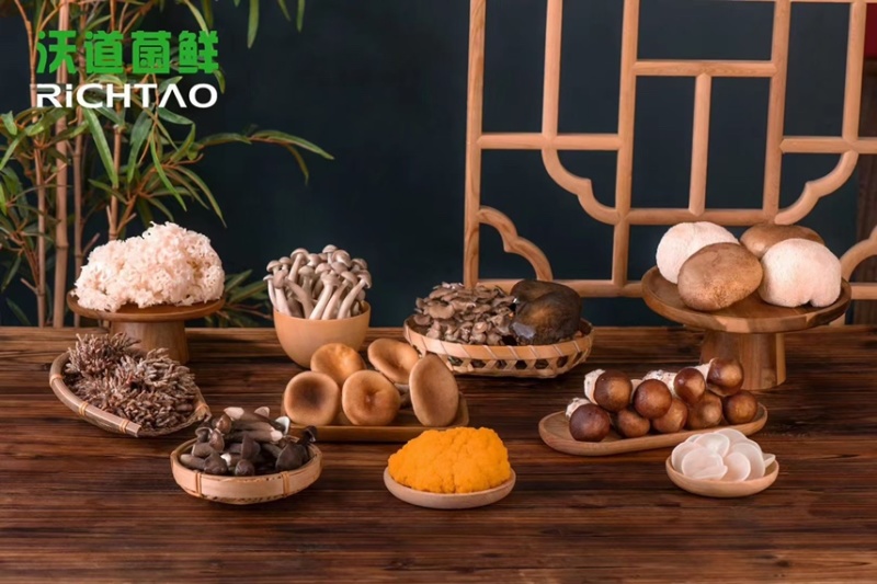 菌鲜特菇礼盒，精品伴手礼，年前精选，欢迎订购