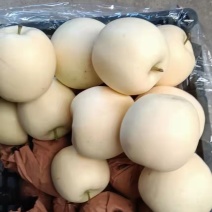辽宁绥中黄元帅苹果金帅苹果货源充足脆甜多汁