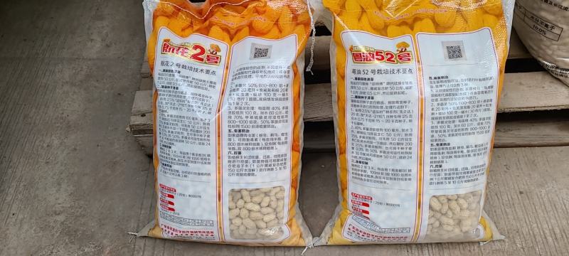 广东翻秋花生种子，纯手工剥壳花生米种子，高油高产。