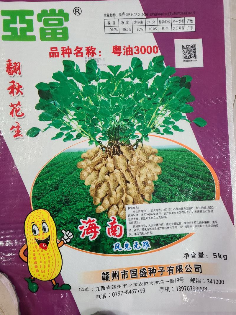 广东翻秋花生种子，纯手工剥壳花生米种子，高油高产。