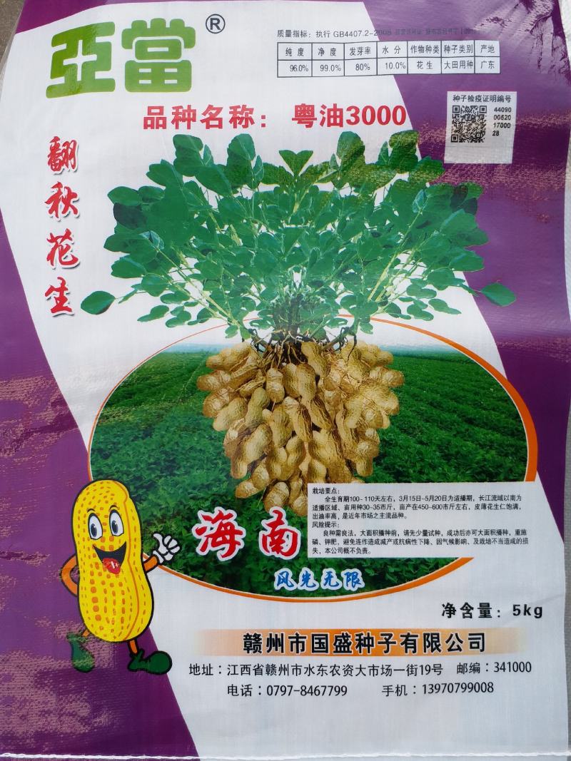 广东翻秋花生种子，纯手工剥壳花生米种子，高油高产。