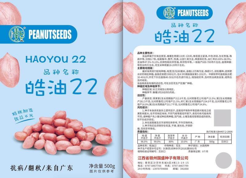 广东翻秋花生种子，纯手工剥壳花生米种子，高油高产。