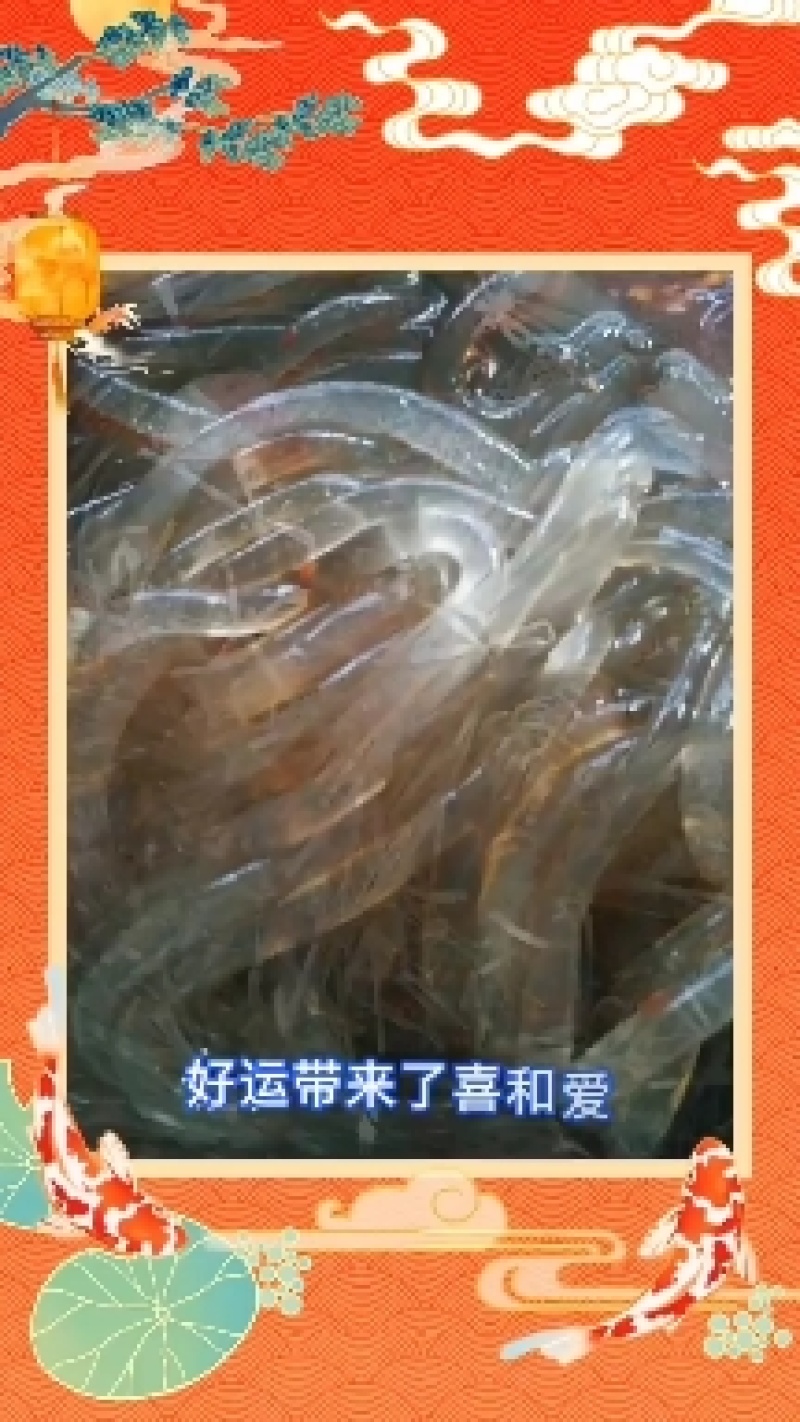 手工酸辣粉条劲道爽囗天然晒干营养更美味整车更优惠