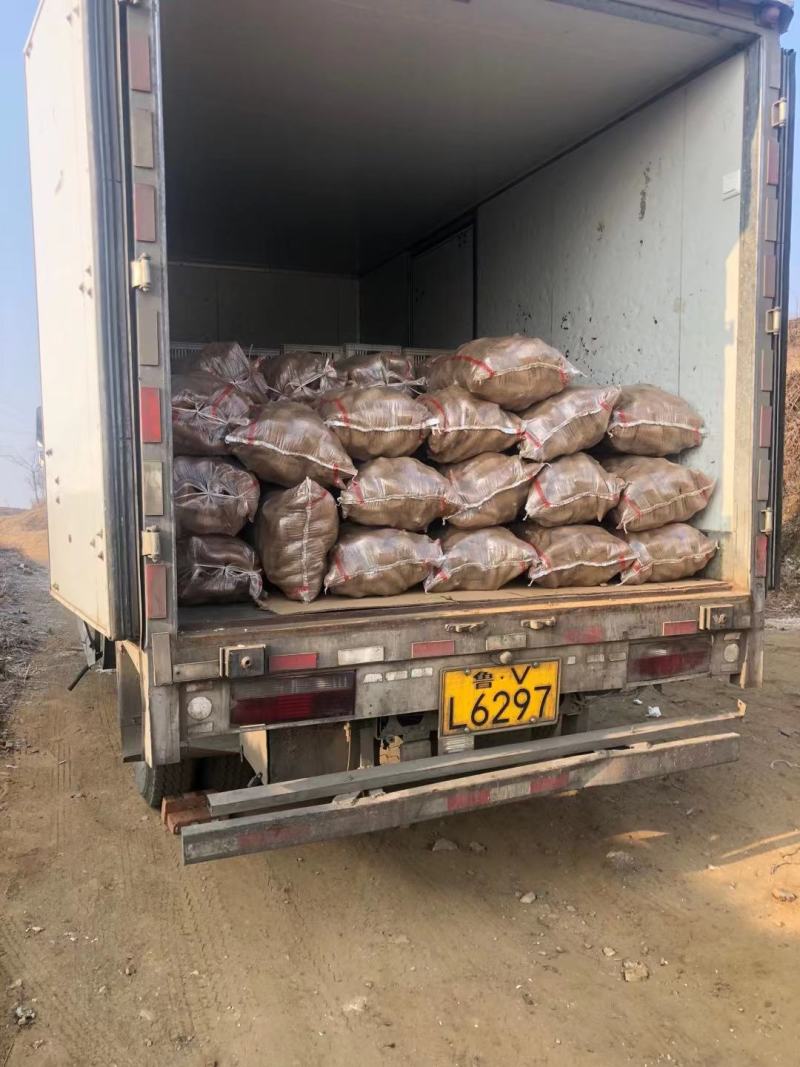 【红薯】产地基地供应烟薯济薯西瓜红等支持全国发货保证质量