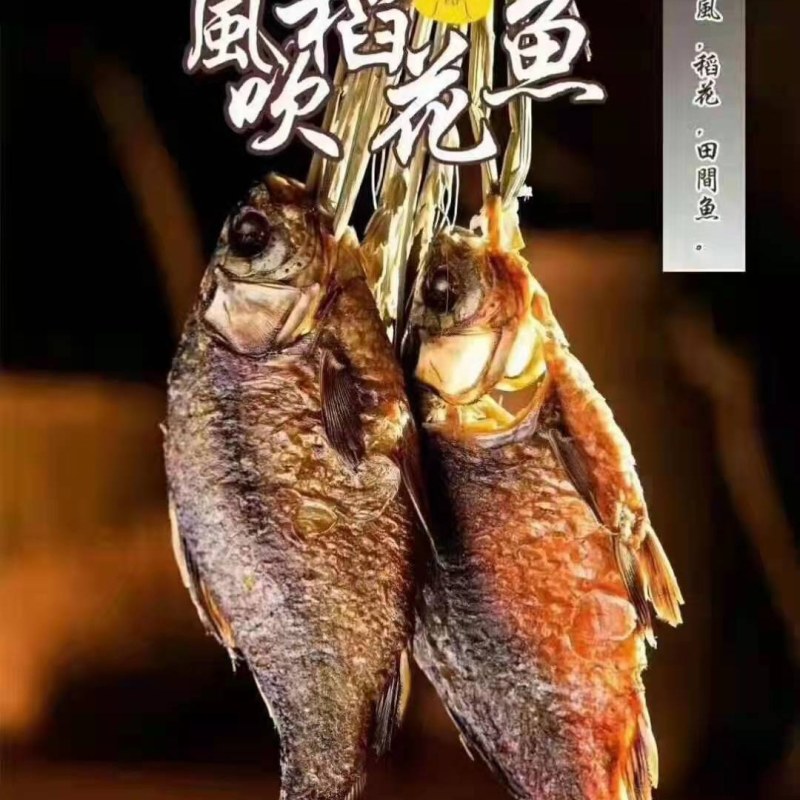 洪湖天然水域水产品，湖之味三去鲫鱼，大，中，小规格齐全