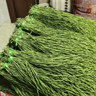 宾川贡菜产地直发自产自销全国发货质量保证颜色鲜代发