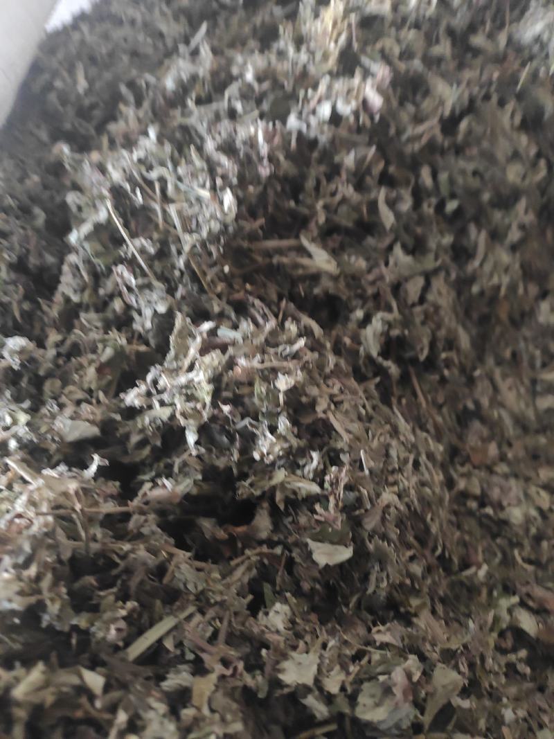 艾草干货中草药干净无杂质量大从优常年经营各种中药材
