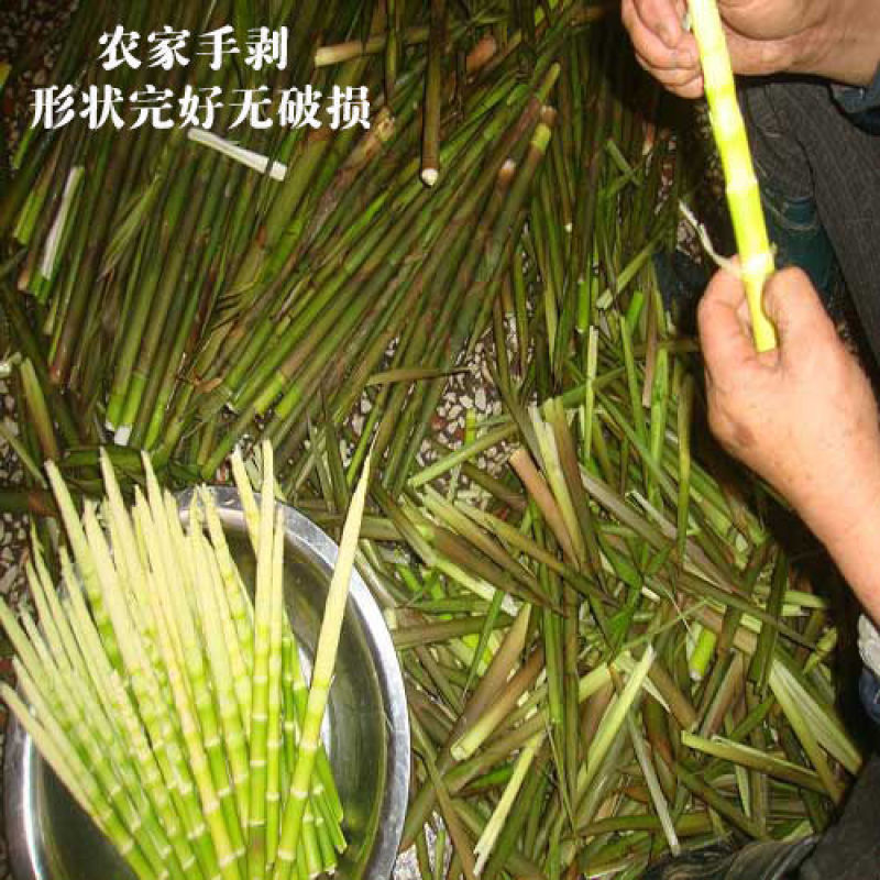 大山深处野生竹笋口感脆嫩现挖现发欢迎采购