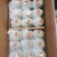 库尔勒香梨大量供应礼品盒装大量现货口感超级好