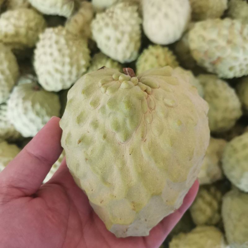 释迦果