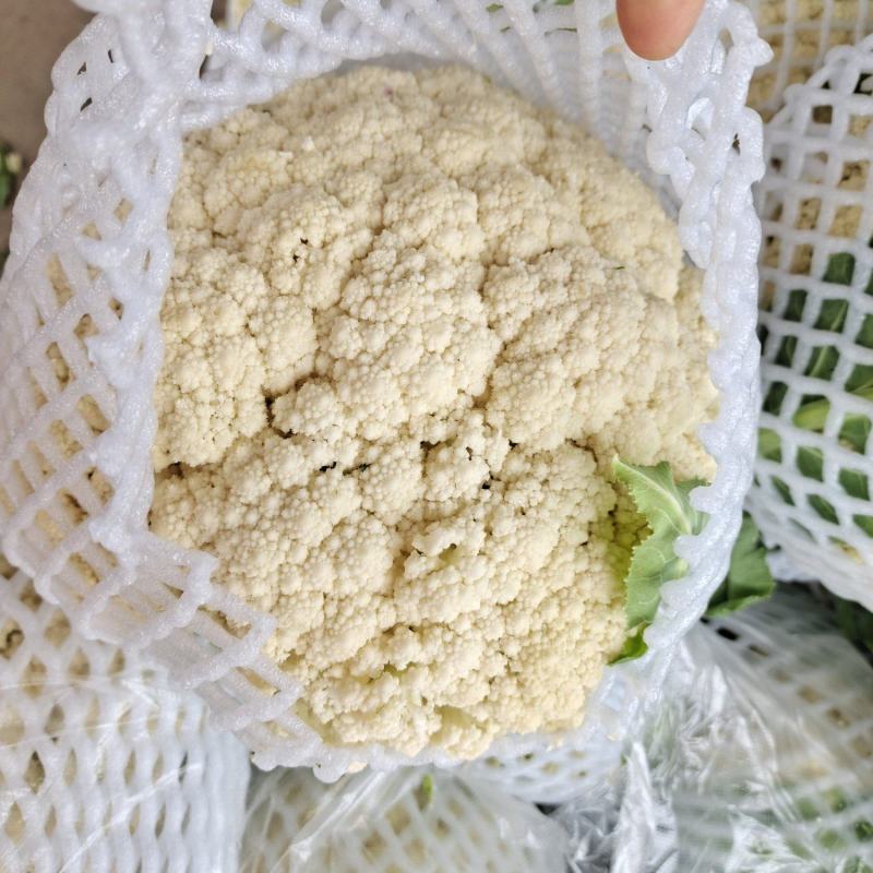 湖北松花正在上市，大量走货，支持配菜