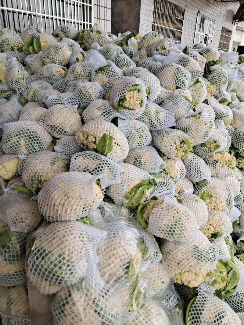 湖北松花正在上市，大量走货，支持配菜