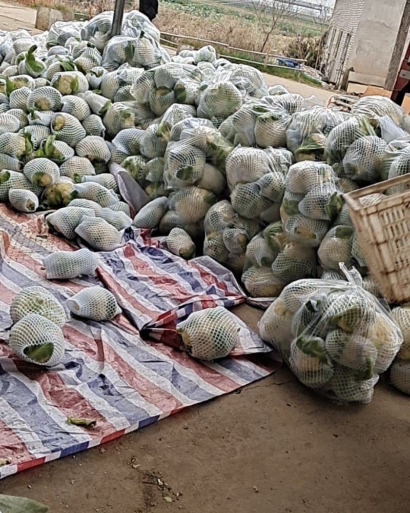 湖北松花正在上市，大量走货，支持配菜
