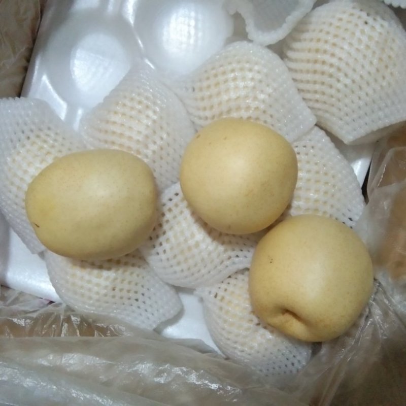 精品黄冠和红香酥梨