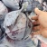 福建精品紫甘蓝
