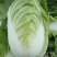 白菜大白菜