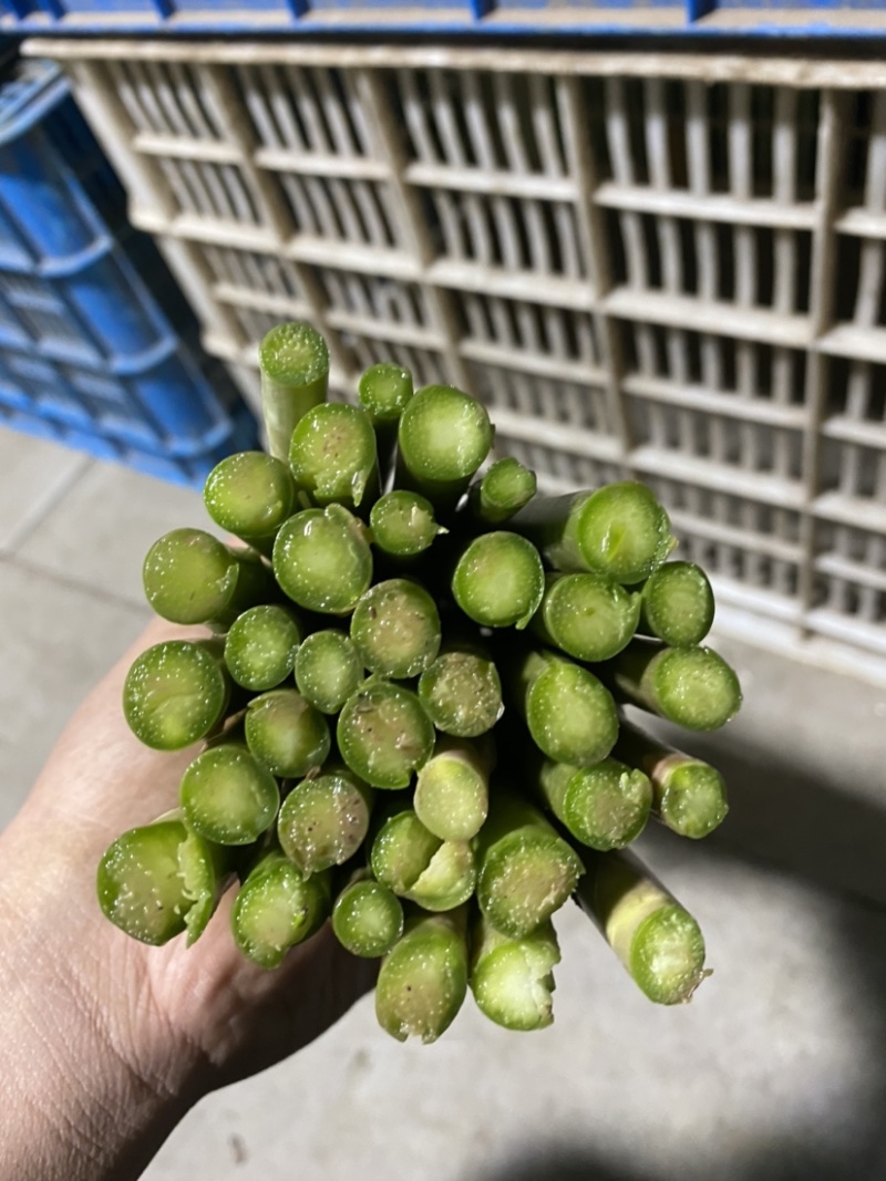靓仔