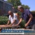 藏红花批发种球种苗种子基地合作社保质量包回收创业致富