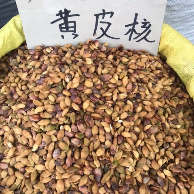 黄皮核黄皮果核农副产品不满意可退换货
