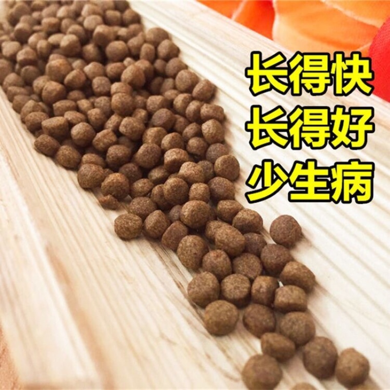 龟食饲料巴西龟招财龟金钱宠物小乌龟粮食物鳄龟家养草龟通用