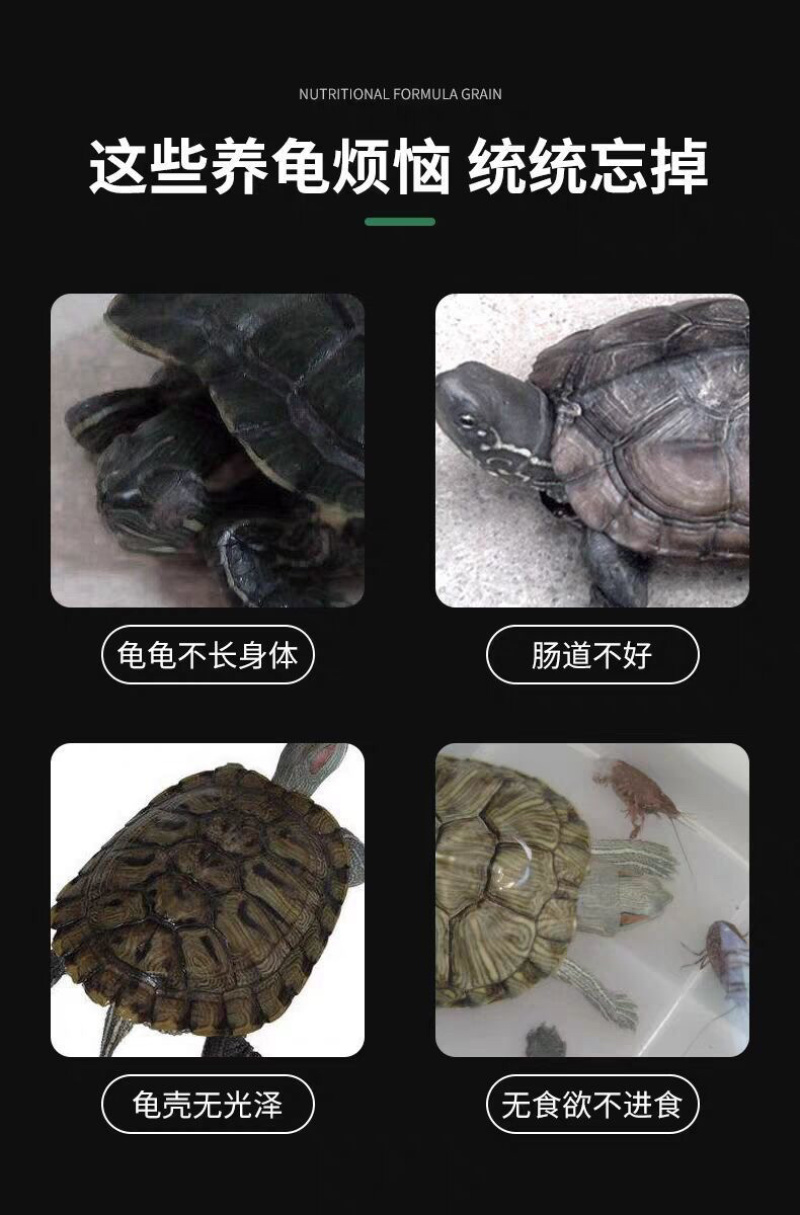 龟食饲料巴西龟招财龟金钱宠物小乌龟粮食物鳄龟家养草龟通用