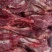 【兔肉】冷鲜肉，前后腿肉，品质保证，货源充足，量大从优