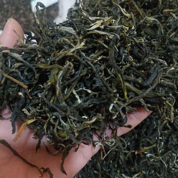 云南普洱绿茶