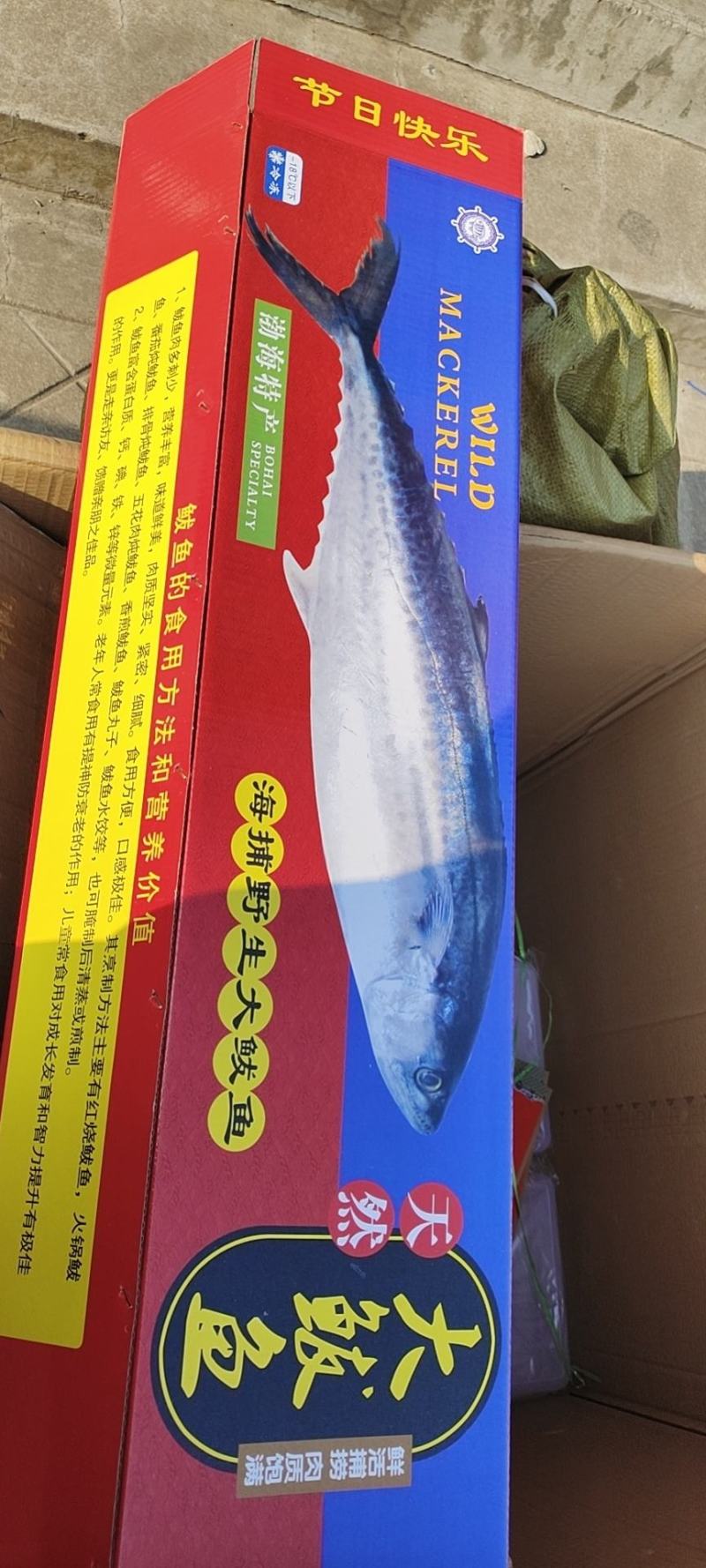 黄金鲅，鲜度好，卖相佳，各种规格都有，大量现货批发