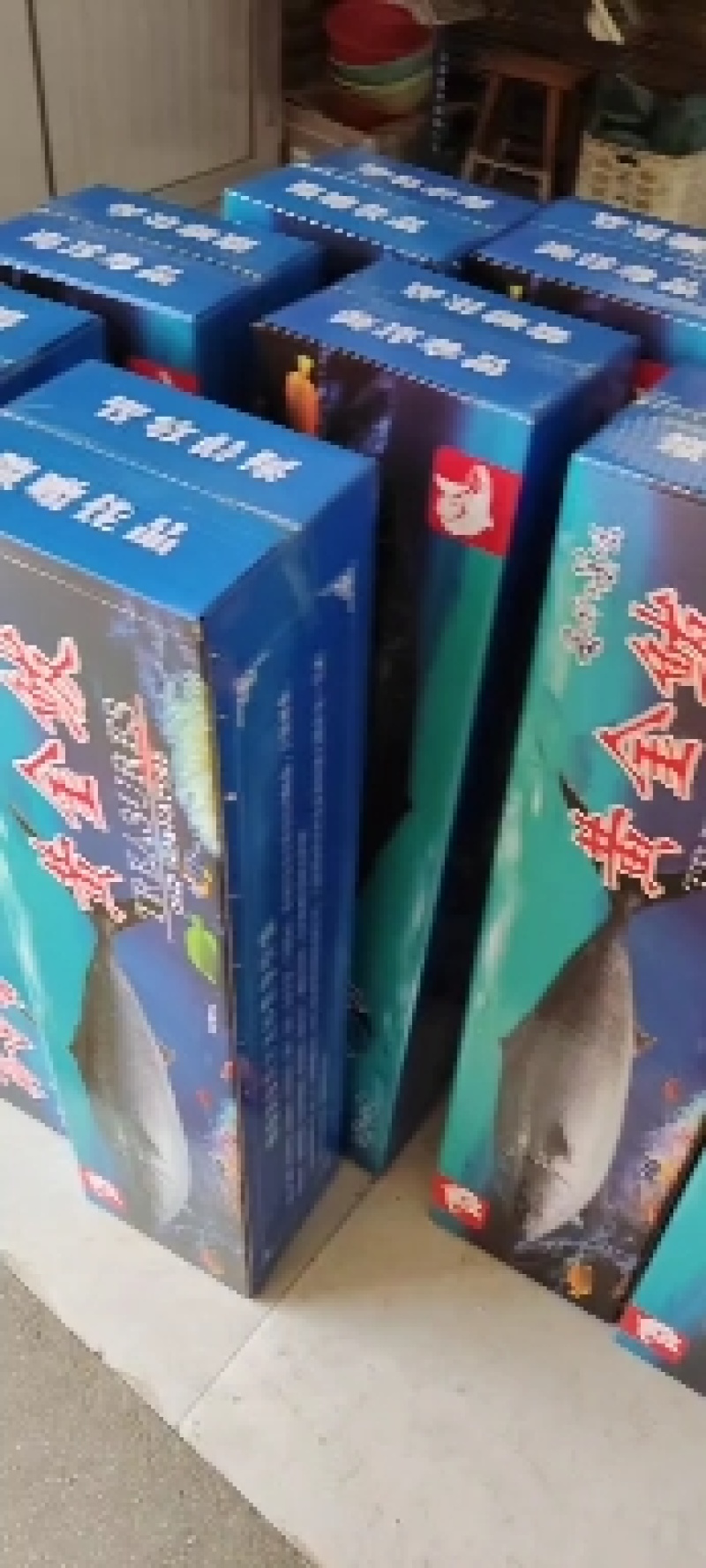 黄金鲅，鲜度好，卖相佳，各种规格都有，大量现货批发