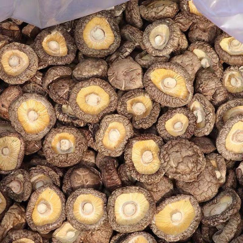 【新货】香菇干货500g肉厚无根干香菇批发价冬菇菌菇