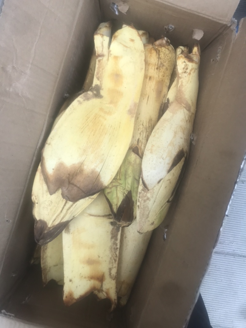 棕苞，棕树花苞，有需要的老板请下单，批零二斤起都发货