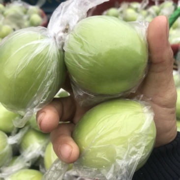 青枣
