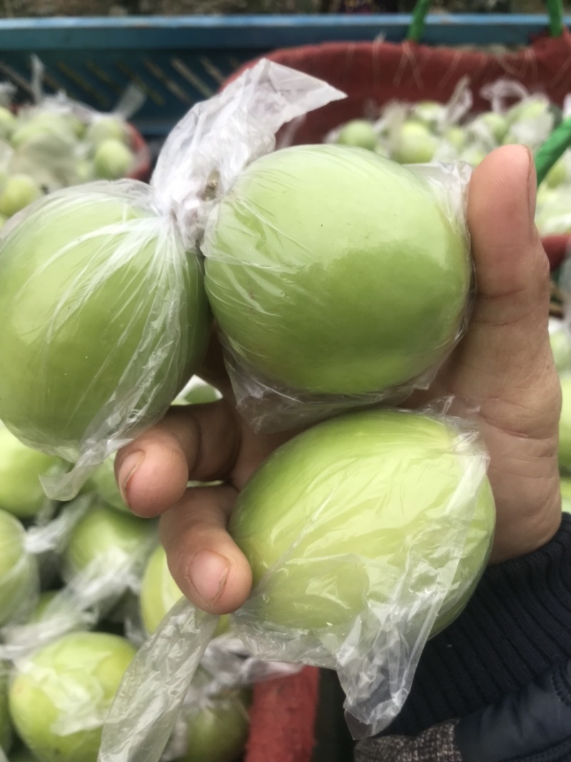 青枣