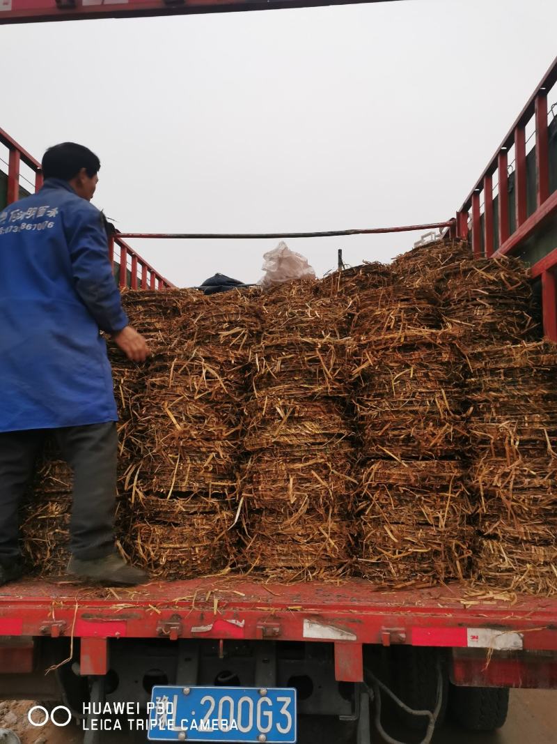茶枯片，双螺旋部分去籽壳，含量高，干度好。22年新榨枯饼