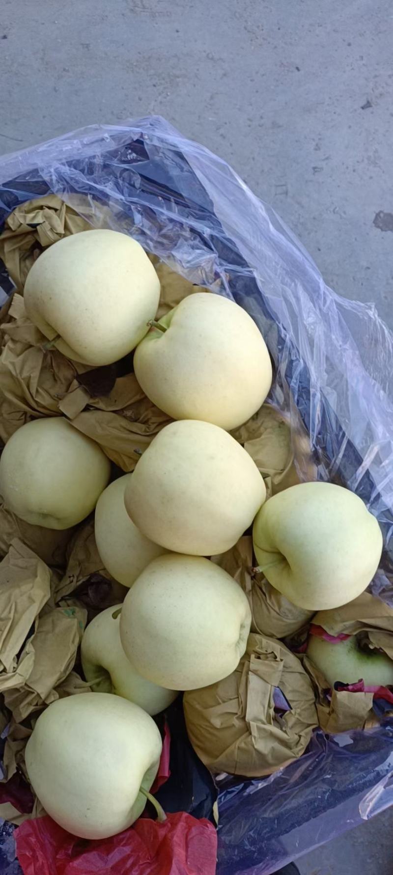 盖县黄元帅出库专业代办代发小宝果业诚挚邀请你的到来