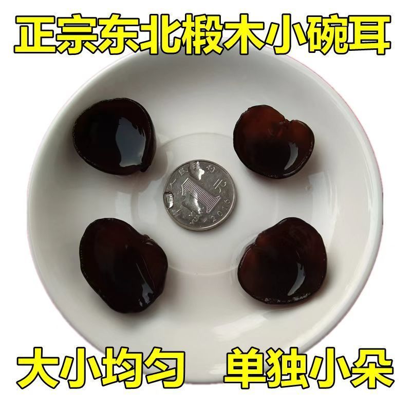 东北特产野生黑木耳小碗耳干货椴木木耳秋木耳肉厚无根批发香
