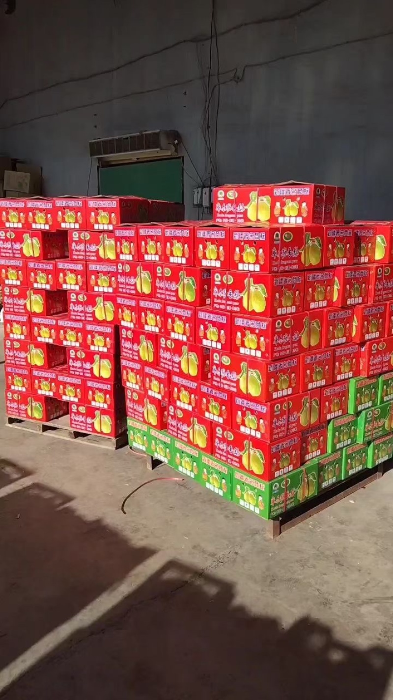 【诚信经营】库尔勒香梨七号梨礼盒装海量资源春节必备