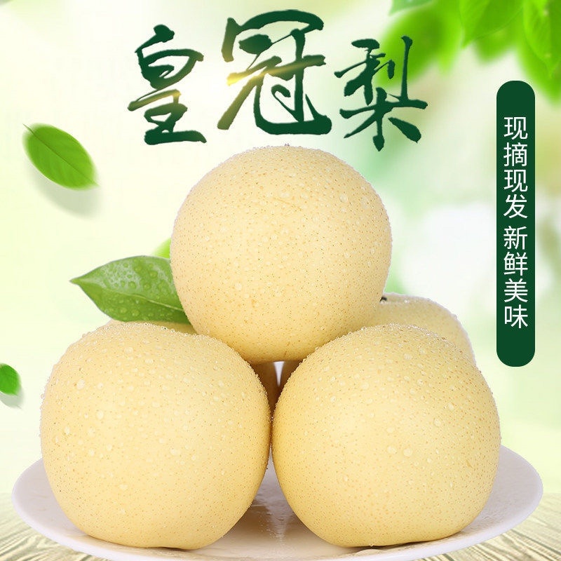 河北赵县皇冠梨大量有货高中低档次都有质量有保证